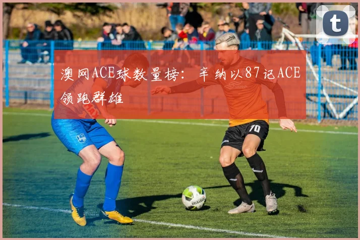 澳网ACE球数量榜：辛纳以87记ACE领跑群雄